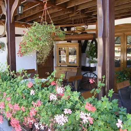 Guest house U Petra